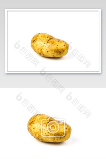 白底清新土豆摄影图图片