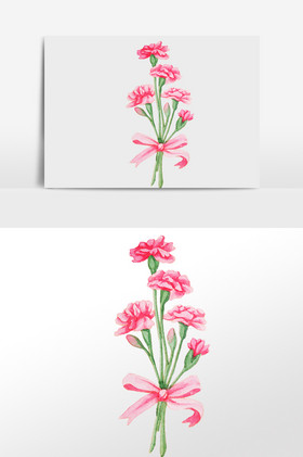 手绘康乃馨图片