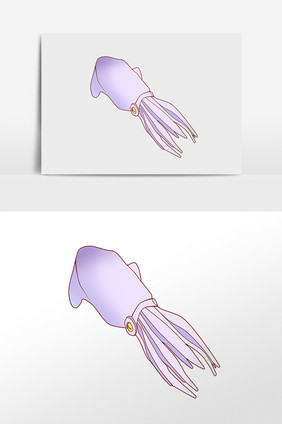 手绘海洋动物水生物鱿鱼插画