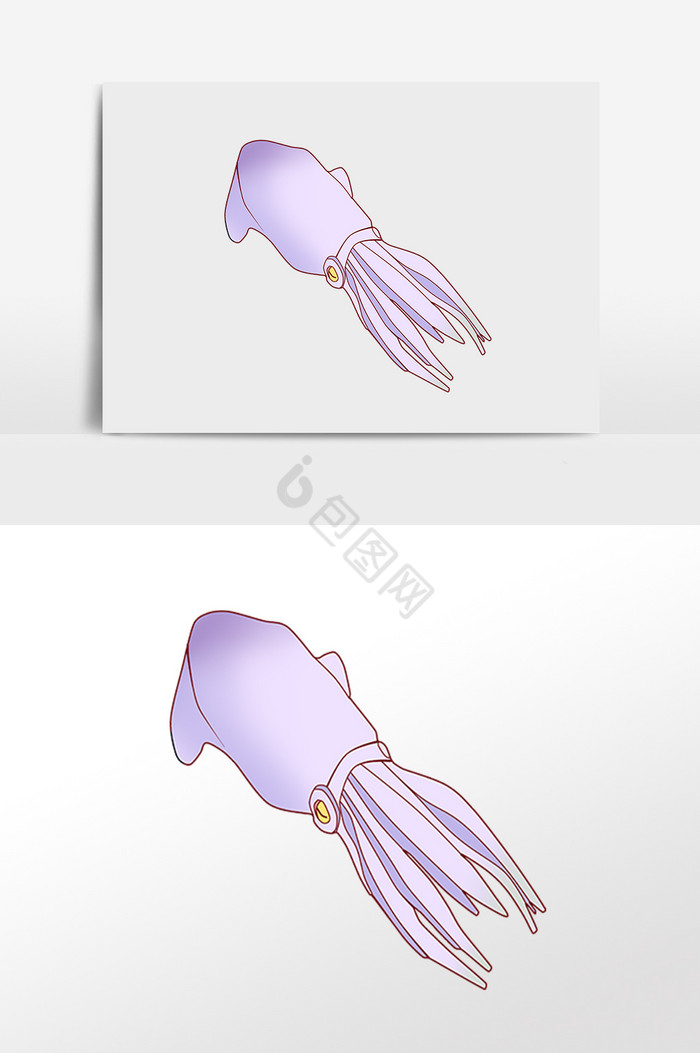 海洋动物水生物鱿鱼插画图片