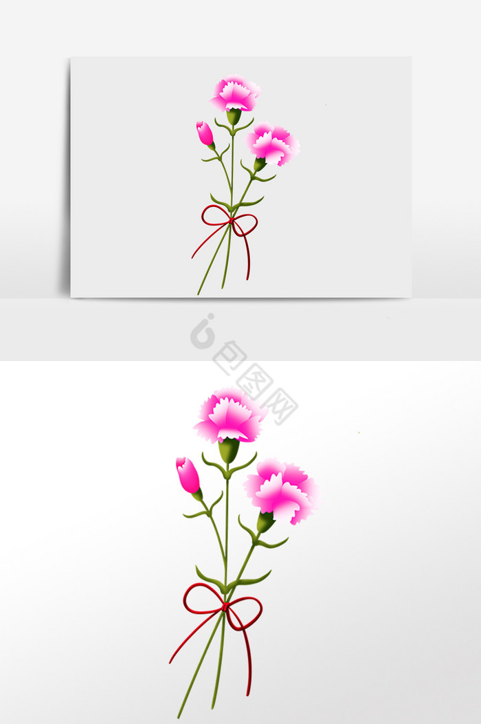 母亲节鲜花康乃馨插画