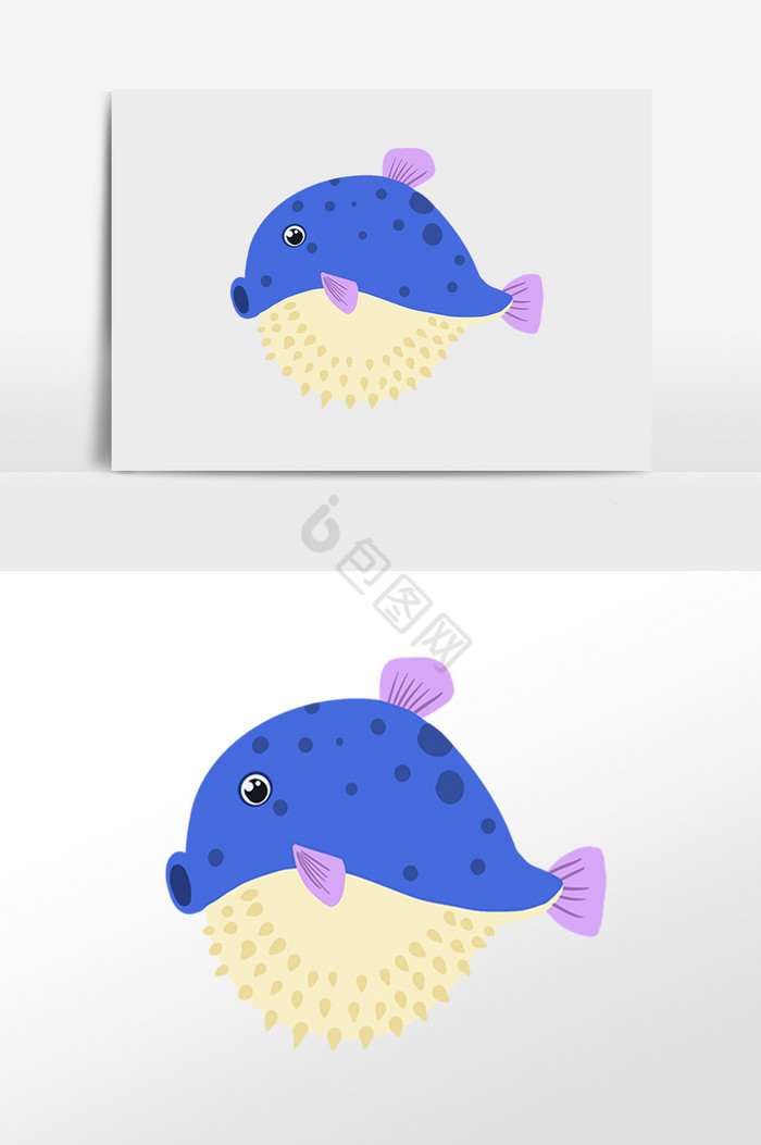 海洋生物动物海豚鱼插画图片