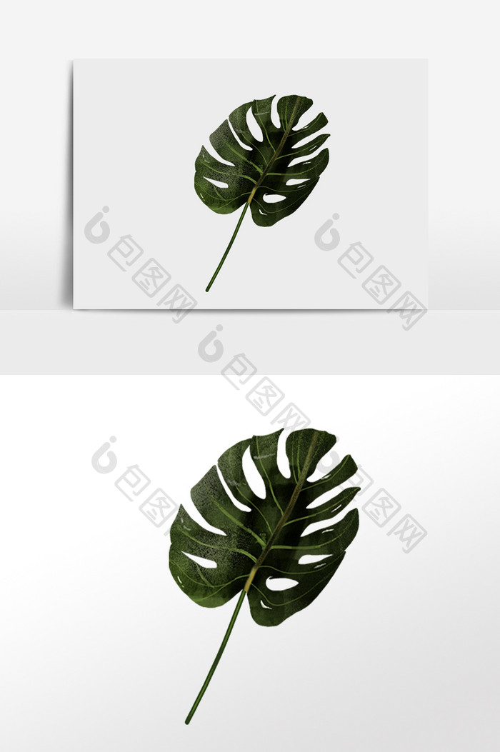 手绘夏季热带植物绿色大叶子插画 Psd素材 包图网