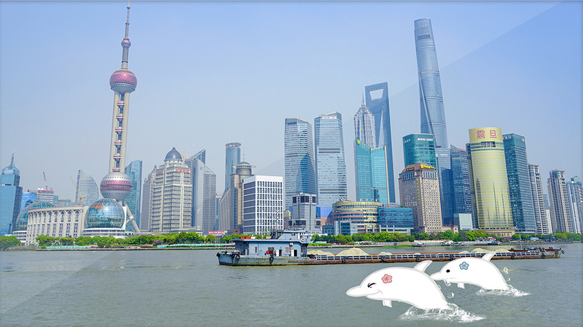 上海陆家嘴江景海豚创意摄影插画GIF图片