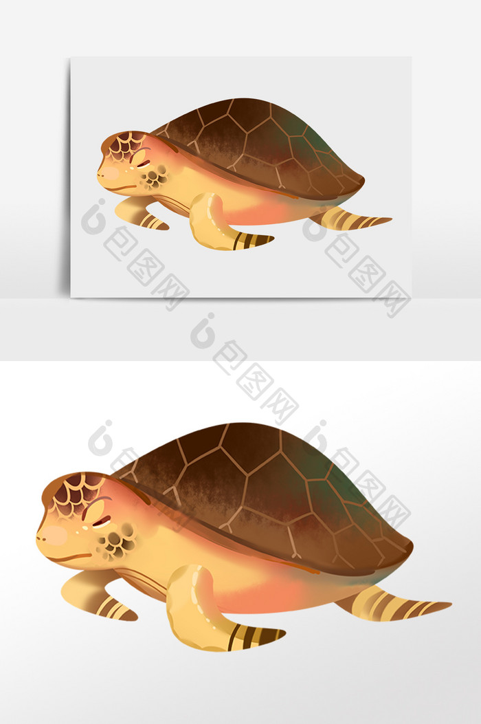 手绘卡通海洋生物动物海龟插画