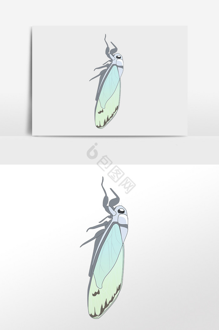 夏季生物昆虫动物蝉插画图片