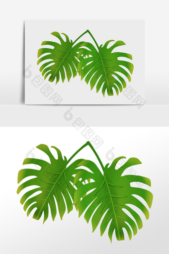 手绘夏季热带植物绿香蕉叶插画图片