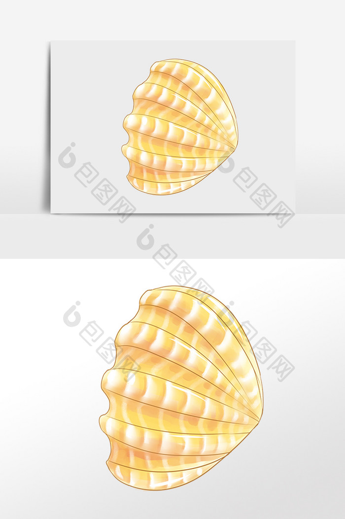 手绘海洋水生物黄色花纹贝壳插画