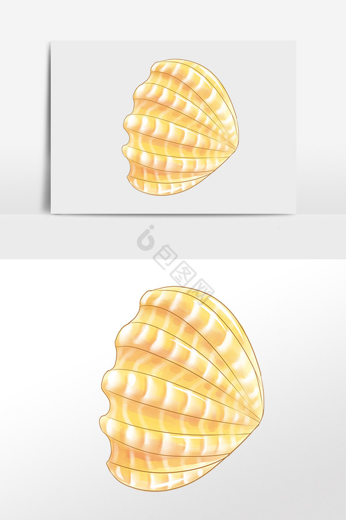 海洋水生物花纹贝壳插画图片