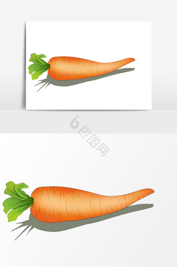 蔬菜胡萝卜形象图片