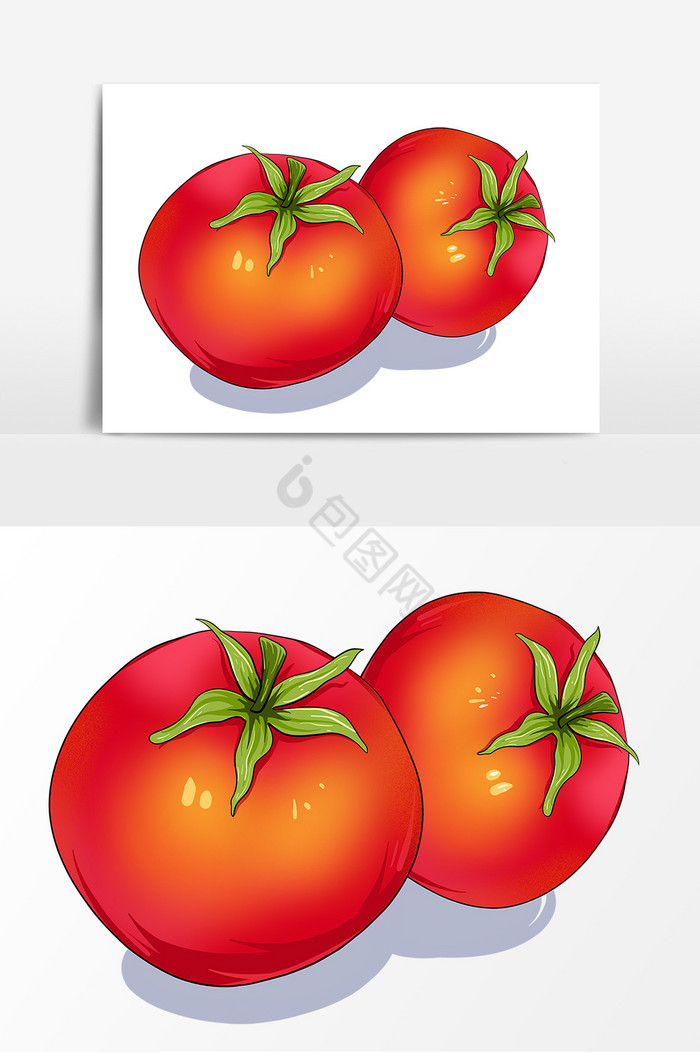 蔬菜西红柿形象图片