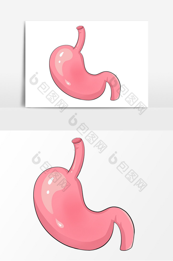 器官胃形象图片图片