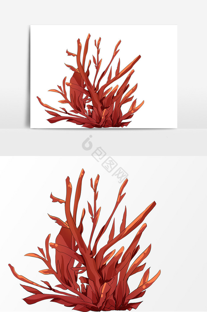 海洋珊瑚形象插画图片