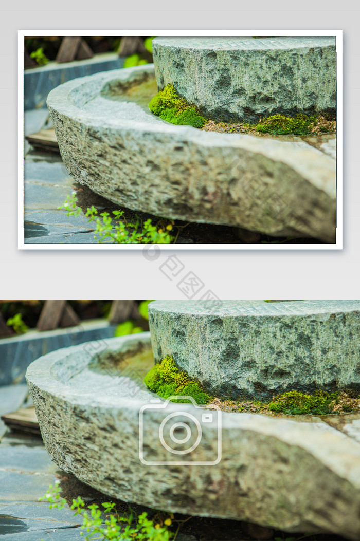 石磨上的苔藓植物摄影图图片图片