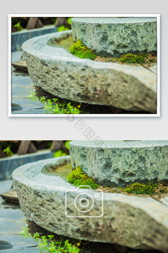 石磨上的苔藓植物摄影图图片