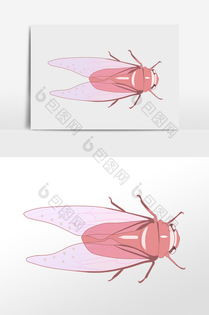 手绘夏季生物昆虫粉色蝉插画
