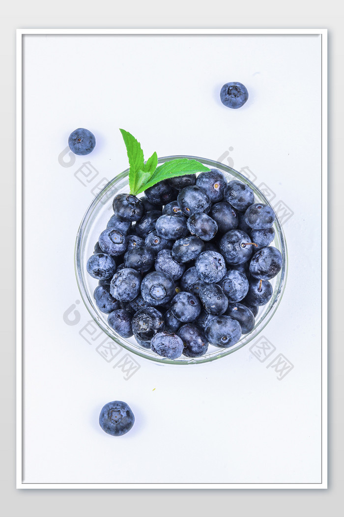 清新白底蓝莓摄影图