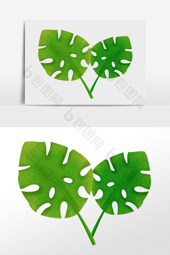 手绘热带清新植物两片棕榈叶插画图片