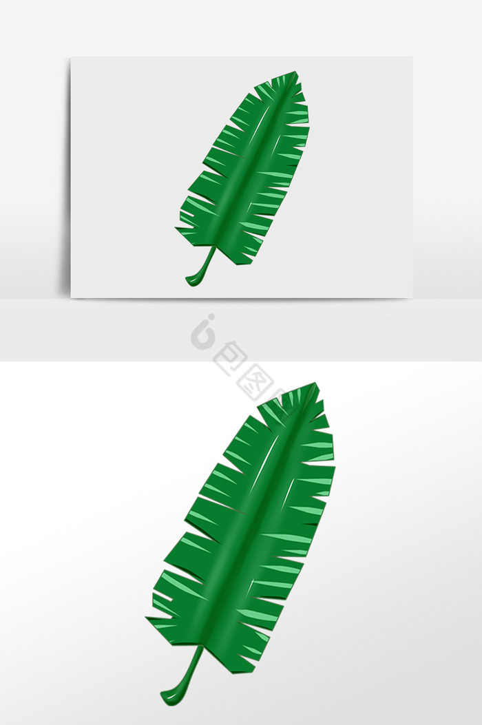 热带植物芭蕉叶插画图片