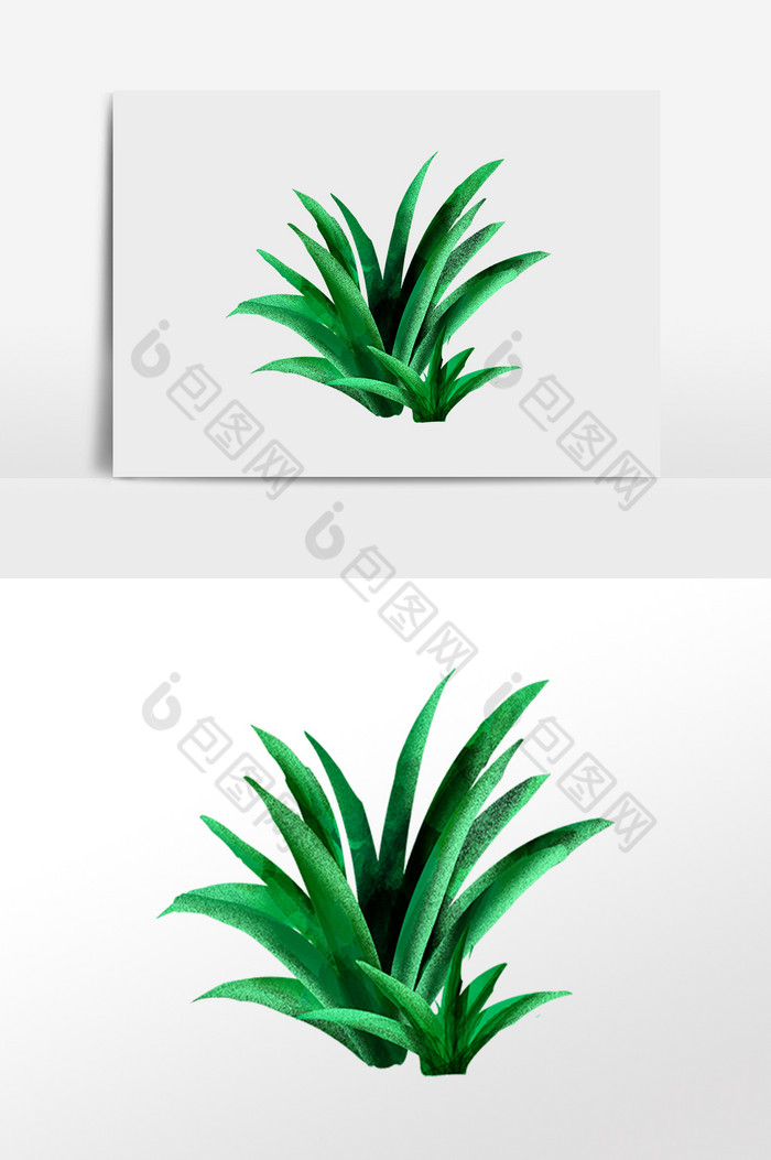 夏季热带植物绿植花草插画图片图片
