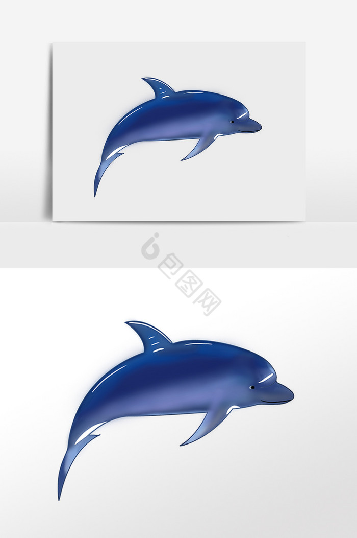 海洋生物动物跳跃海豚插画图片