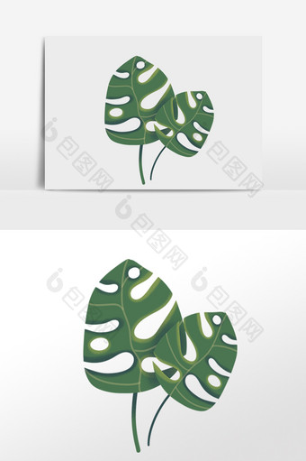 手绘夏季热带绿植两片叶子插画图片