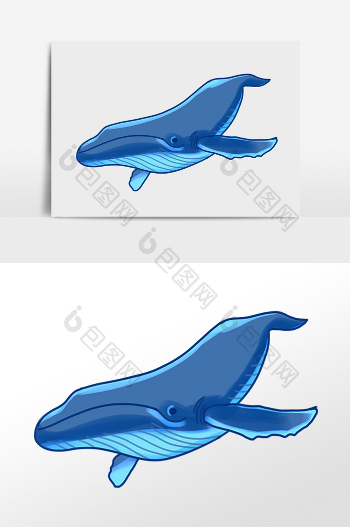 手绘海洋生物动物大海豚插画