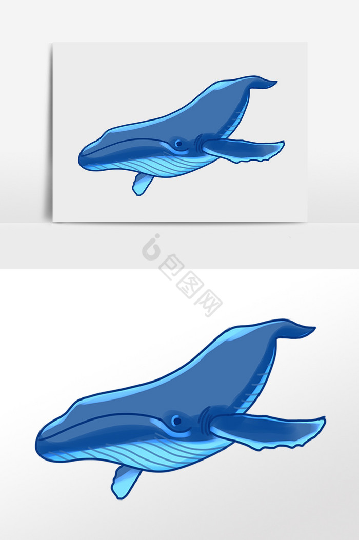 海洋生物动物大海豚插画图片