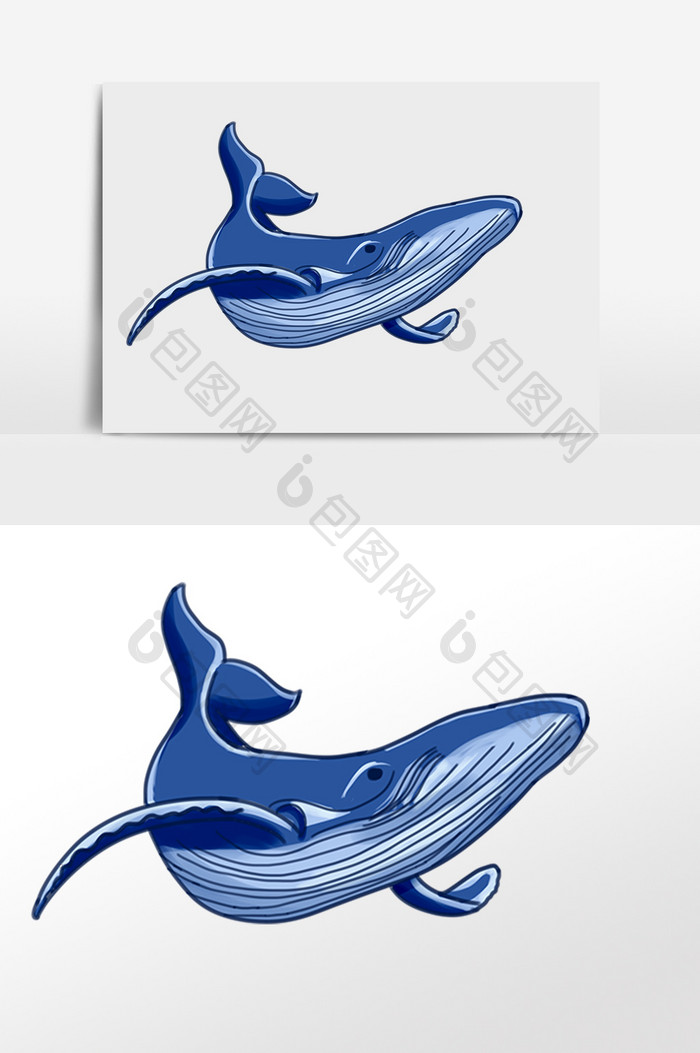 手绘海洋生物动物热带海豚插画