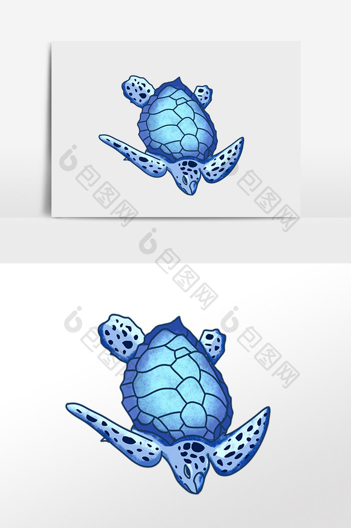 手绘海洋生物动物蓝色海龟插画