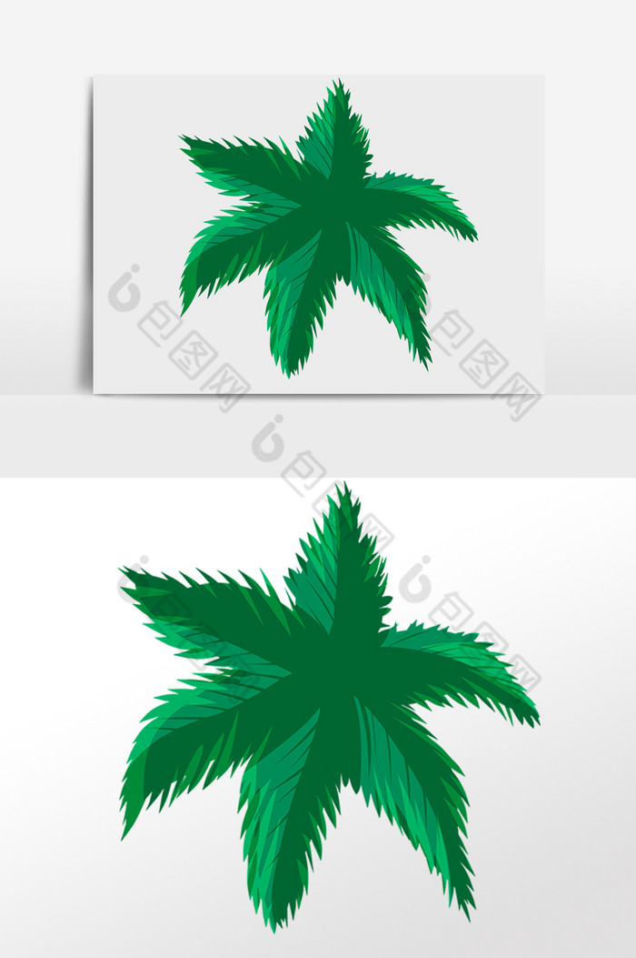 夏季热带绿植星星叶片插画图片图片