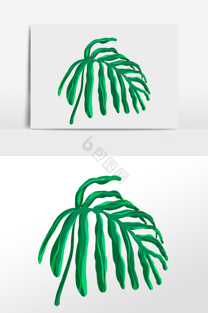 夏季热带绿植纹理叶片插画图片