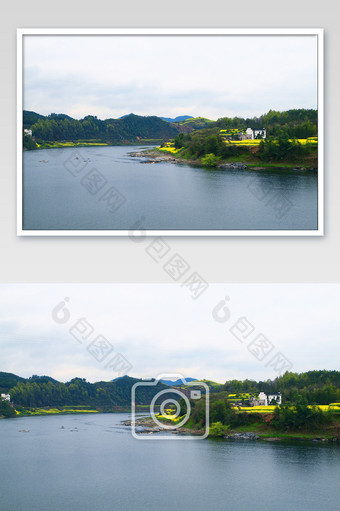 新安江江边油菜花风光摄影图图片