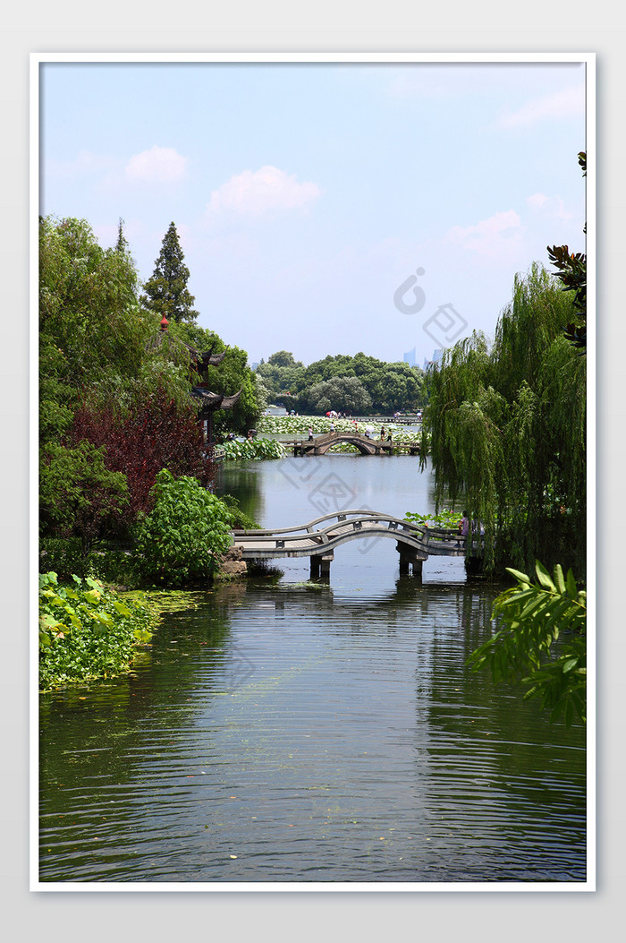 西湖美景小桥景色柳树西湖水摄影图