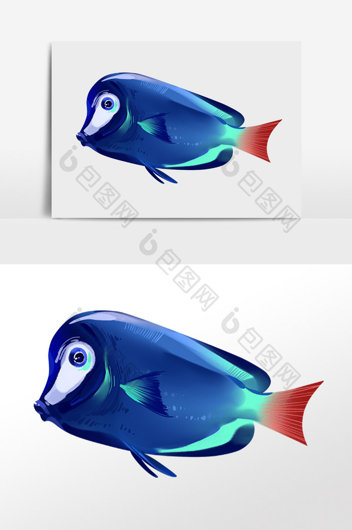 手绘海洋动物生物海底蓝色鱼插画