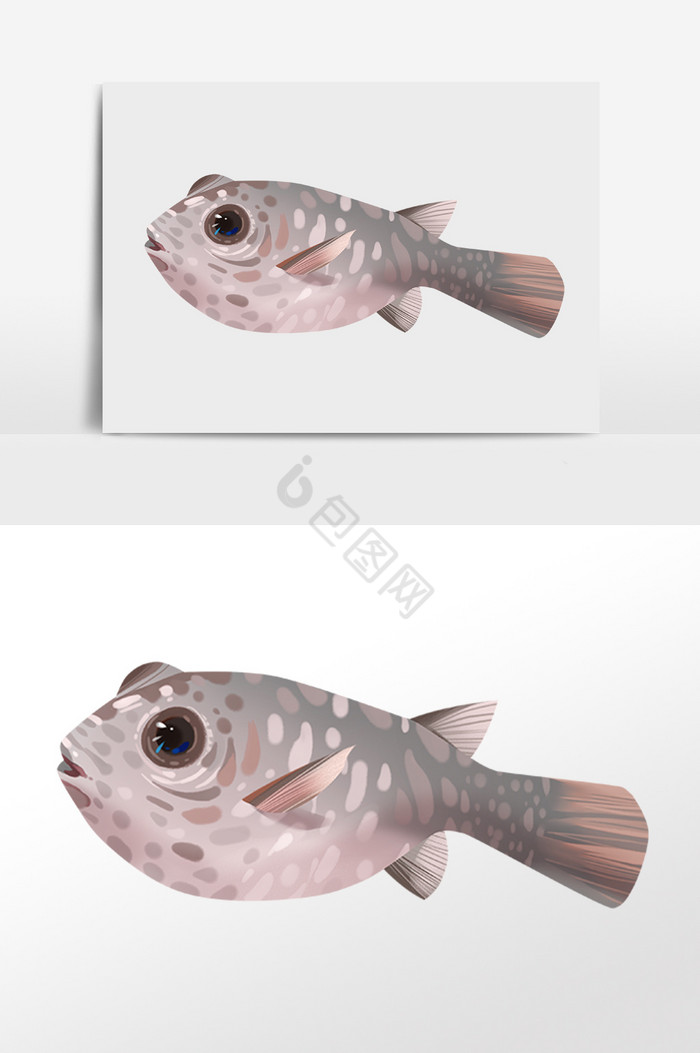 海洋动物生物海底热带鱼插画图片