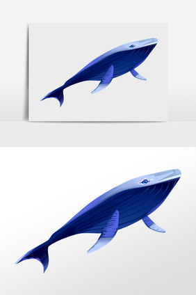 手绘海洋动物生物蓝色鲨鱼插画