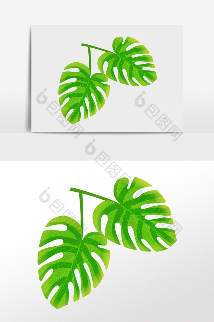 手绘清新热带植物绿色叶片插画