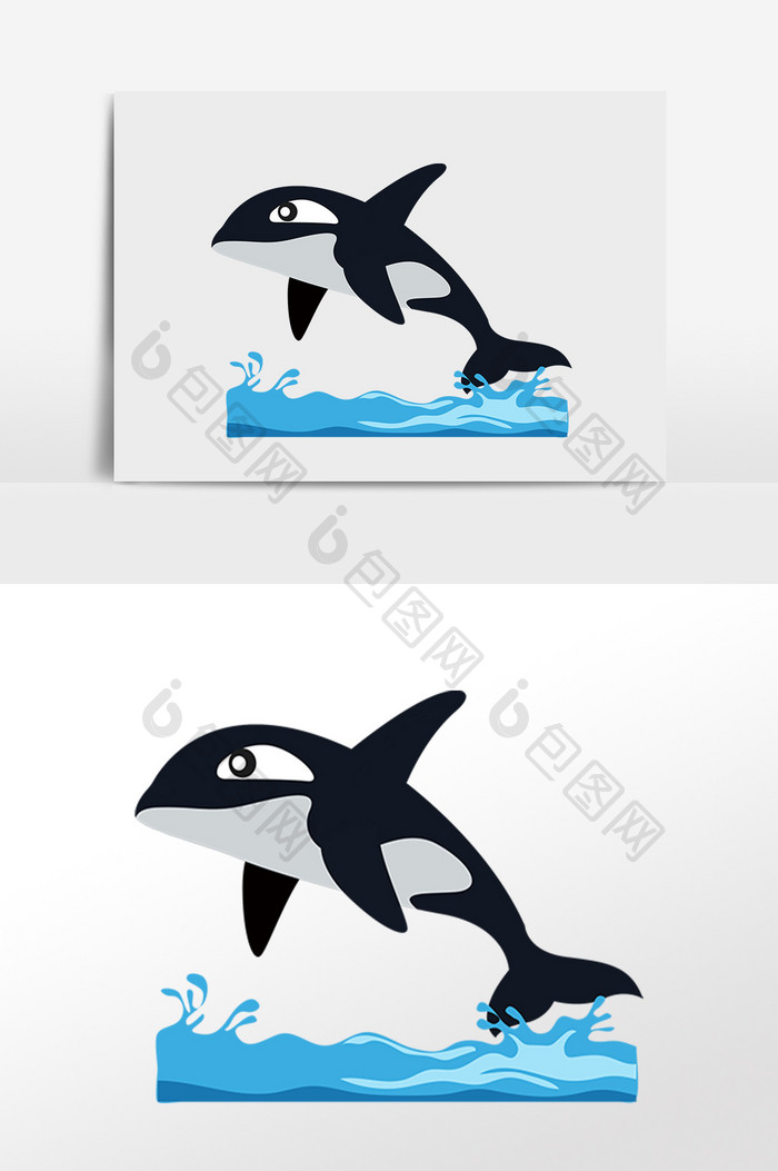 手绘海洋动物生物黑色虎鲸插画
