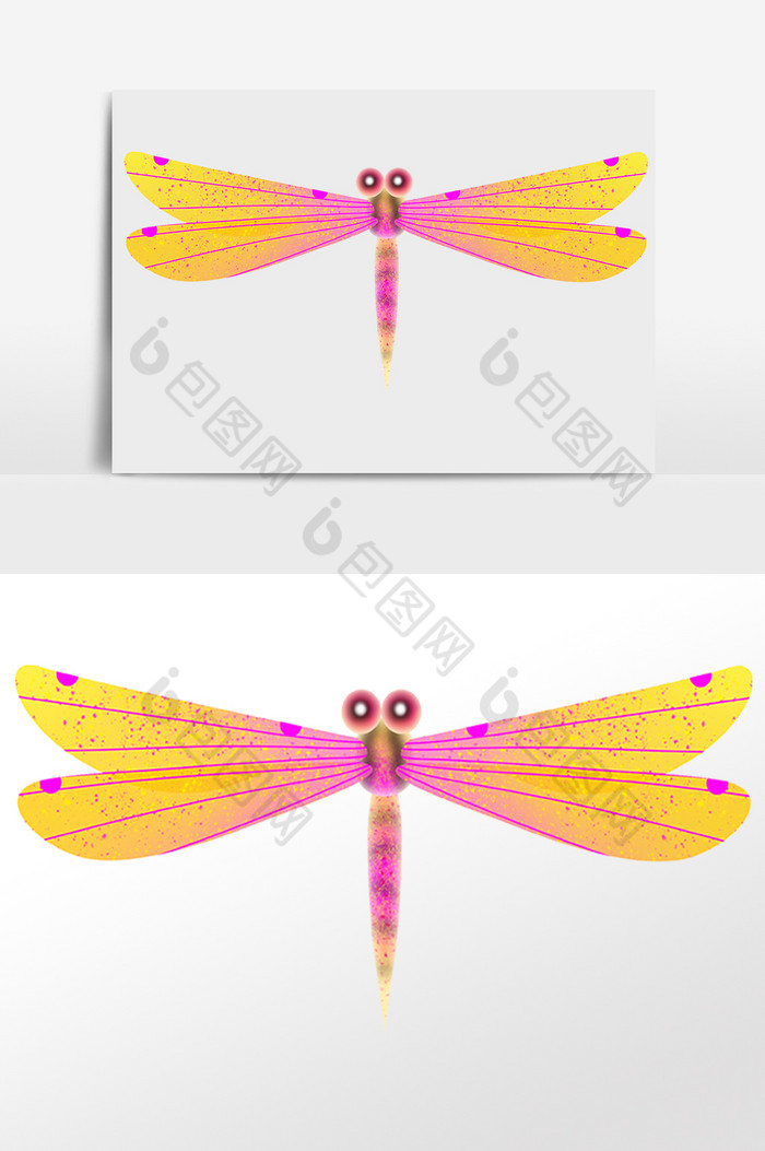 飞虫昆虫漂亮蜻蜓插画图片图片