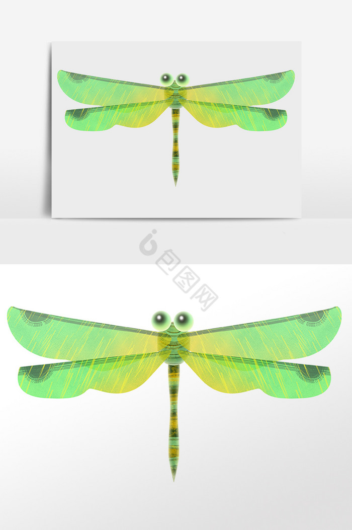 飞虫昆虫动物蜻蜓插画图片