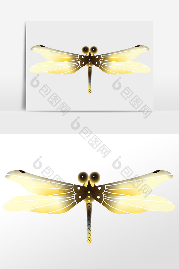 飞虫昆虫动物蜻蜓插画图片图片
