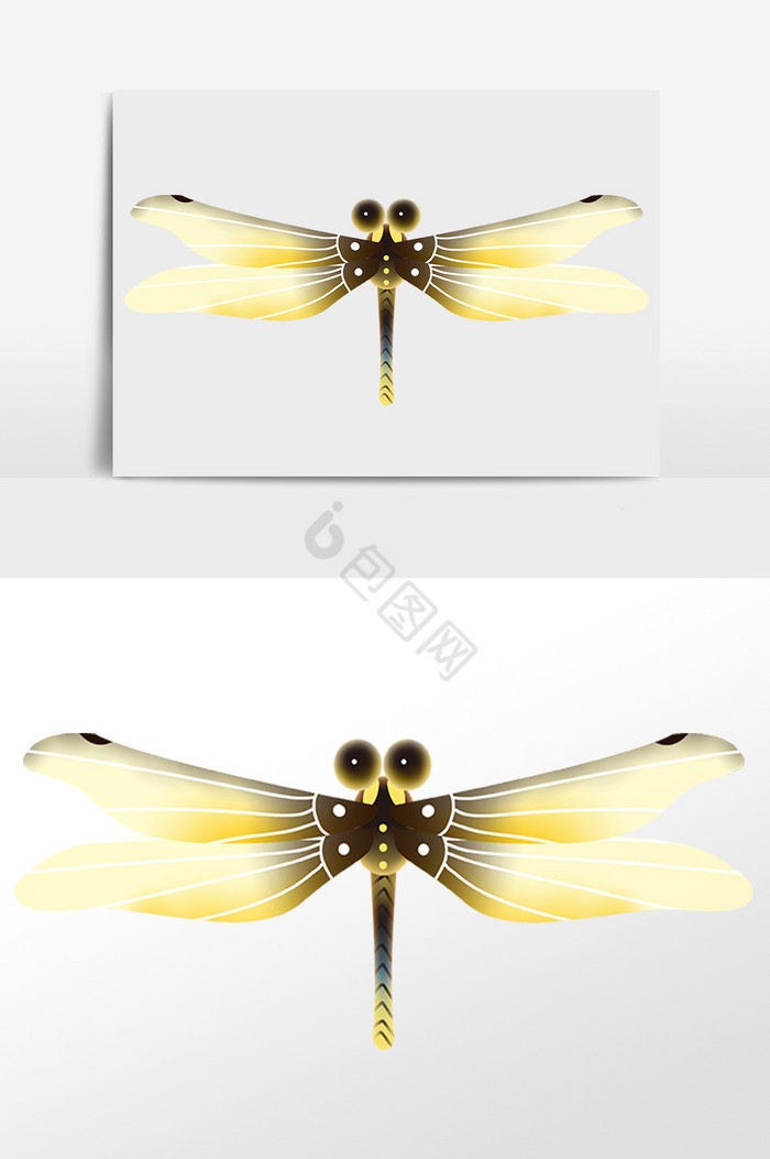 飞虫昆虫动物蜻蜓插画图片