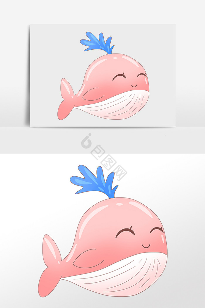 海洋动物生物小海豚插画图片