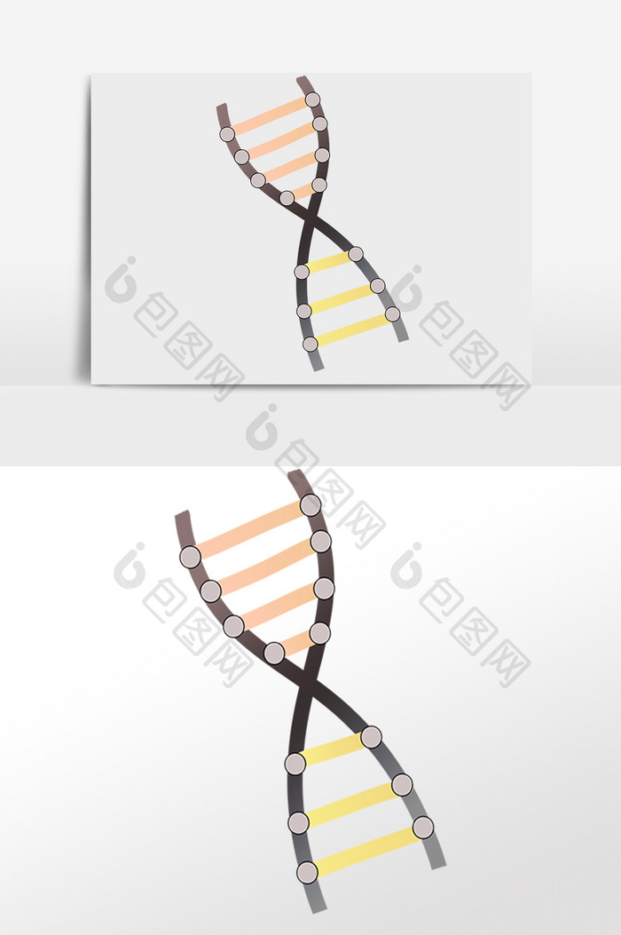 手绘生物科学基因螺旋链插画