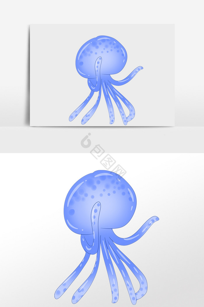 海洋动物生物蓝水母插画图片