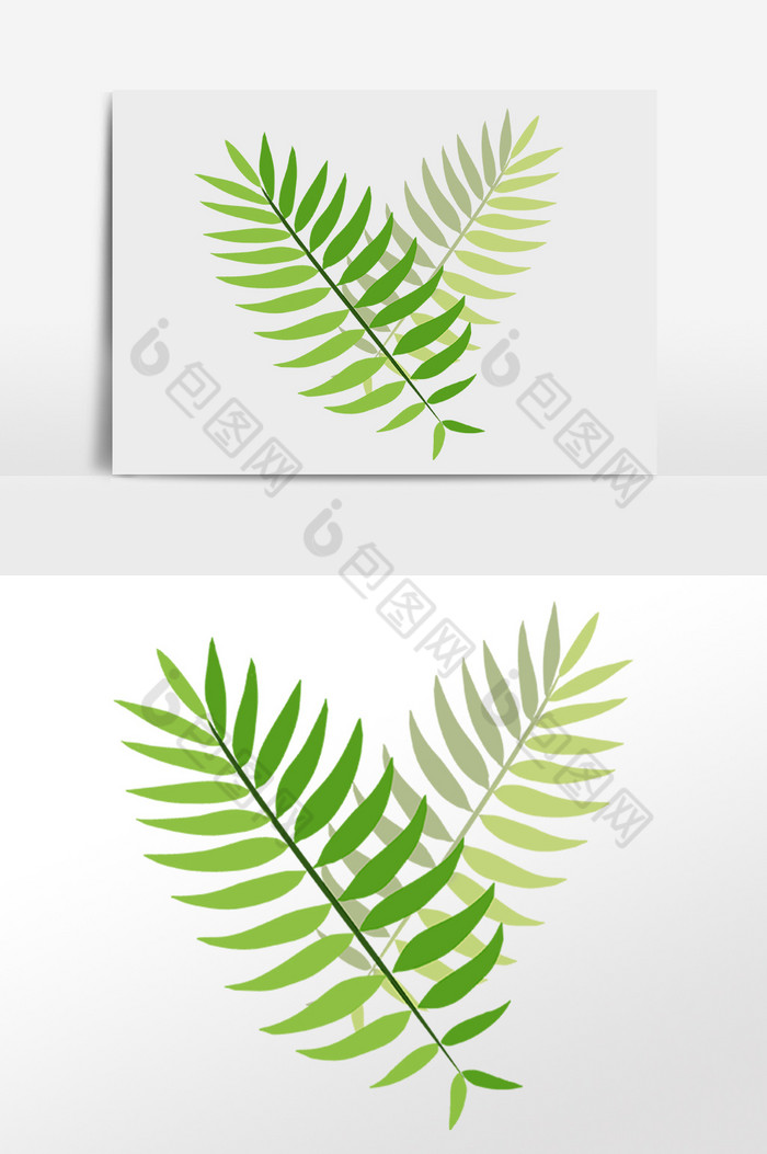 热带植物小叶子插画图片图片