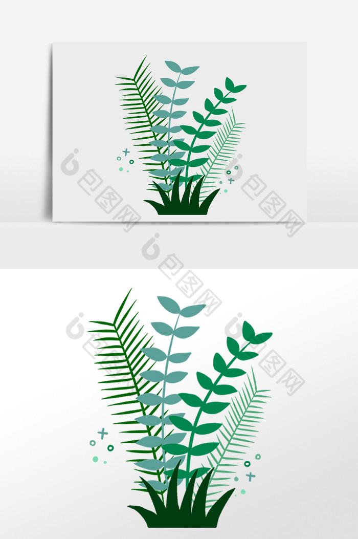 热带植物花草叶子插画图片图片