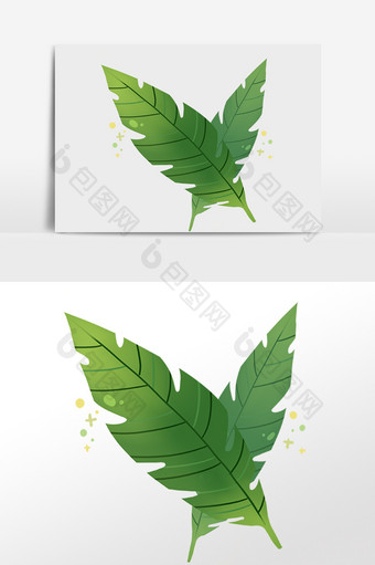 手绘热带清新植物两片叶子插画图片
