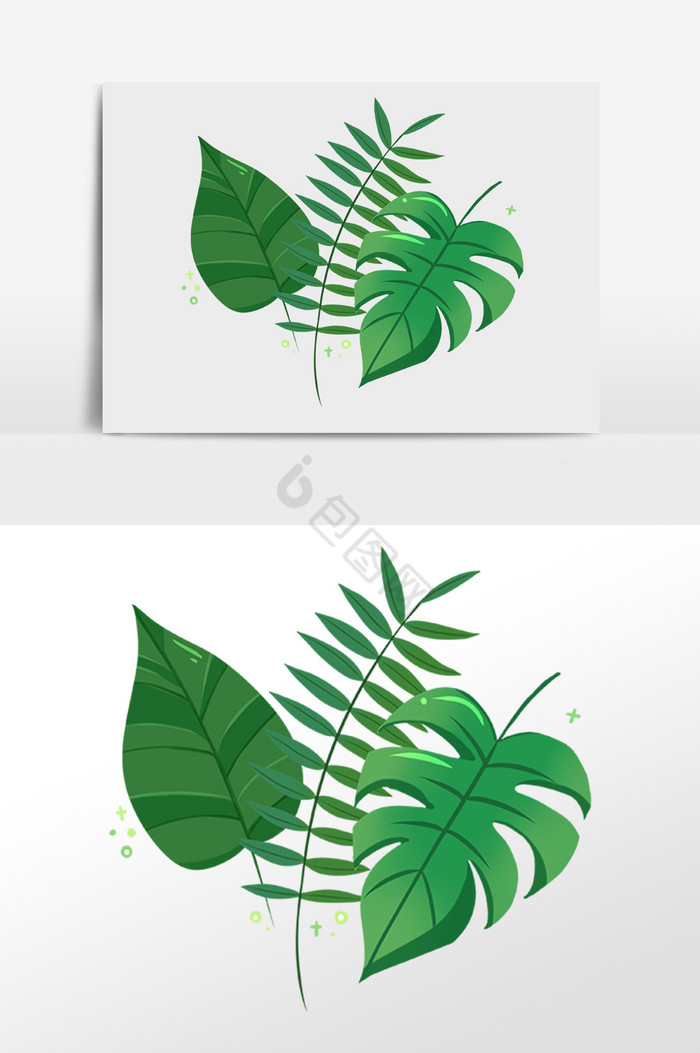 热带植物各种叶子插画图片